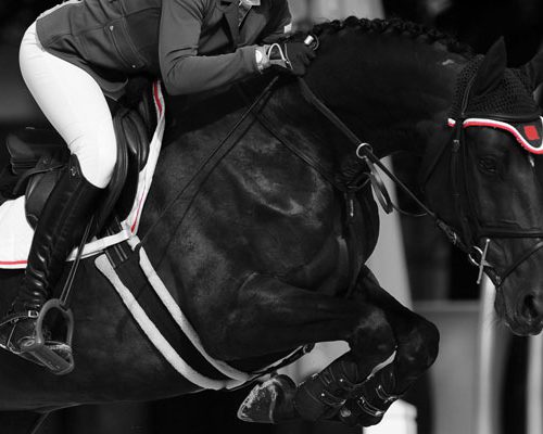 equestrian