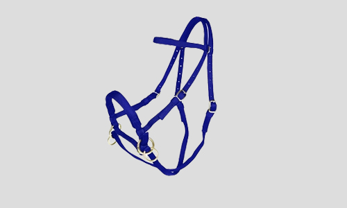nylon-bridle